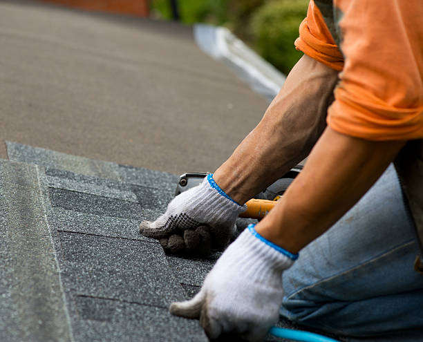 Best Gutter Installation and Roofing  in Brownsville, LA